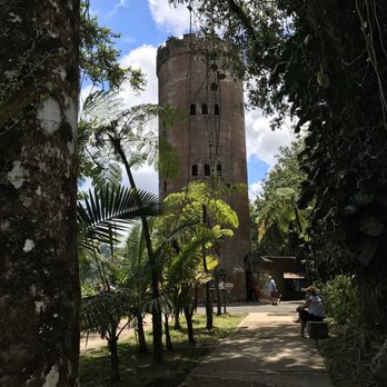 El Yunque Rainforest - Climb to the top to overlook the rainforest - Hiking Near Me - Luquillo, Puerto Rico