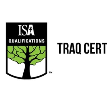 Greater Bay Area Tree & Arborist Services - Tree Services Near Me - Seminole, Florida Greater Bay Area Tree & Arborist Services - Tree Services Near Me - Seminole, Florida