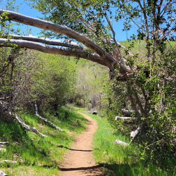 Cuyamaca Peak - Hiking Near Me - Descanso, California Cuyamaca Peak - Hiking Near Me - Descanso, California