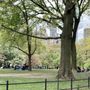 Photo of East Green