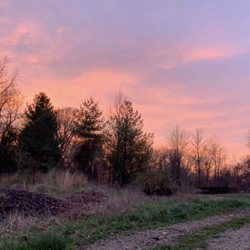 Crain's Tree Farm & Nursery