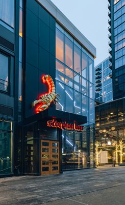 Scorpion Boston by null