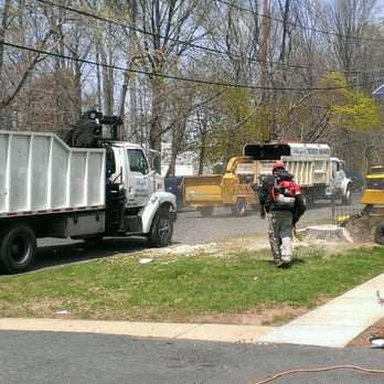 Royal Tree Service - Tree Services Near Me Royal Tree Service - Tree Services Near Me