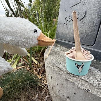 Molly Moon’s - Cookies and cream, smallest size - Ice Cream & Frozen Yogurt Near Me - Seattle, Washington Molly Moon’s - Cookies and cream, smallest size - Ice Cream & Frozen Yogurt Near Me - Seattle, Washington
