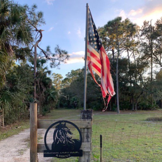 Promise Land Ranch - social services organization in Clewiston, FL