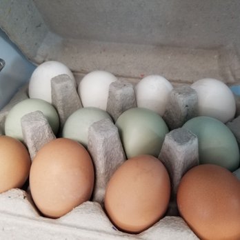 Kualoa Ranch - Tri-color eggs sold here. - Tours Near Me - Kaneohe, Hawaii