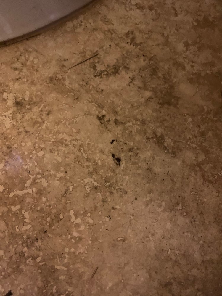 BUCKINGHAM PROPERTIES LAKE TAHOE Updated September 2024 61 Photos