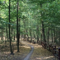 Las Bielański