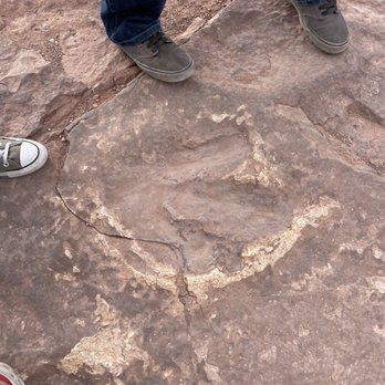 Portal Offroad Tours - More fossils - ATV Rentals/Tours Near Me