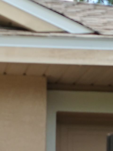 Slide of Citrus Contracting