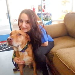 24 Hour Dog Daycare Giftly Email, Text or Print, 7686 Miramar Rd