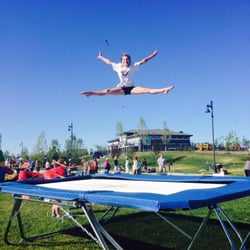 Pegasus Gymnastics