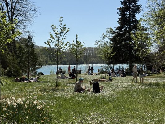 Parc de la Tête d'Or by null