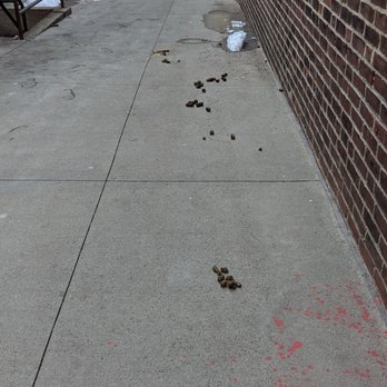 PMC Property Group - Poop trails from the inside of the building all the way outside the door - Apartments Near Me - New Haven, Connecticut