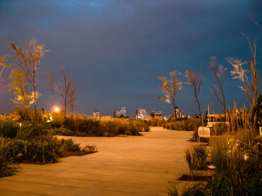 Elevated Acre by null