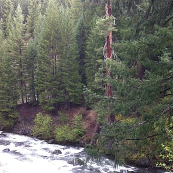 Rogue Gorge Viewpoint - Hiking Near Me - Prospect, Oregon Rogue Gorge Viewpoint - Hiking Near Me - Prospect, Oregon