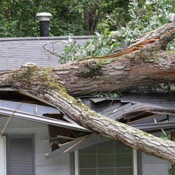 Myers Restoration Group - a fallen tree on the roof of a house - General Contractors Near Me Myers Restoration Group - a fallen tree on the roof of a house - General Contractors Near Me