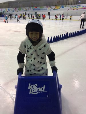 Taipei Arena Ice Land by null