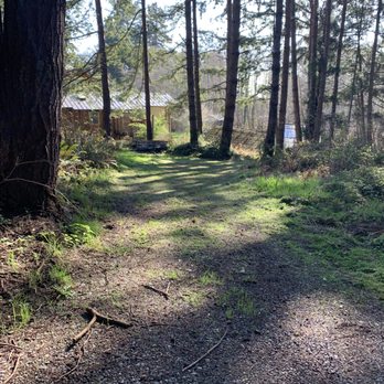 Rawsuns' Landscaping - Lawn and trails - Tree Services Near Me Rawsuns' Landscaping - Lawn and trails - Tree Services Near Me