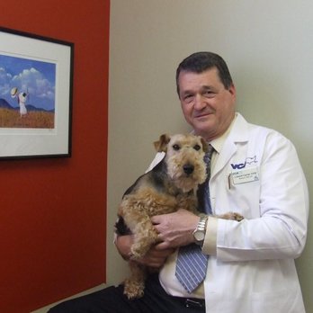 VCA Spring Animal Hospital - Veterinarians Near Me - Spring, Texas VCA Spring Animal Hospital - Veterinarians Near Me - Spring, Texas