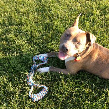 Searls Dog Park - Dog Parks Near Me - Rockford, Illinois Searls Dog Park - Dog Parks Near Me - Rockford, Illinois