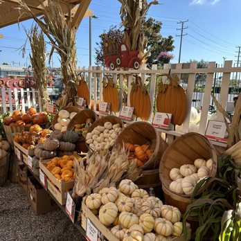 ARMSTRONG GARDEN CENTERS - Updated December 2025 - 71 Photos & 96