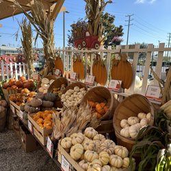 Armstrong Garden Centers