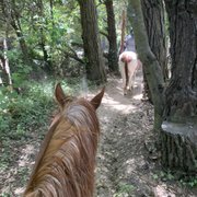 RICOCHET RIDGE RANCH - 144 Photos & 157 Reviews - Tours - 24201 N Hwy 1 ...