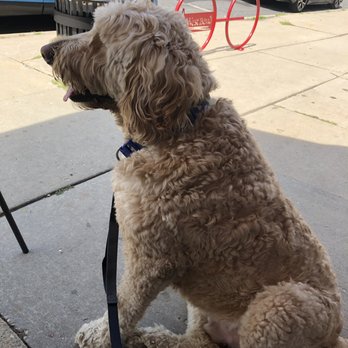 Riverside Brewery and Restaurant - Teddy at Riverside brewery! - New American Near Me - West Bend, Wisconsin