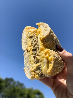 Holey City Bagels by null