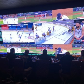 Circa - Best sportsbook ever! - Casinos Near Me - Las Vegas, Nevada