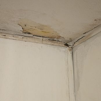 Capital Property Management - Water Damage and Mold - Property Management Near Me - Fort Wayne, Indiana Capital Property Management - Water Damage and Mold - Property Management Near Me - Fort Wayne, Indiana