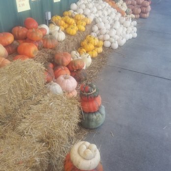 Allegri Farm Market - Grocery Near Me - Daphne, Alabama Allegri Farm Market - Grocery Near Me - Daphne, Alabama