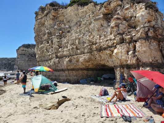 Four Mile Beach by null