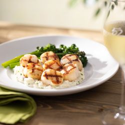 Seasons 52 - Caramelized Grilled Sea Scallops served with broccolini and mascarpone risotto.