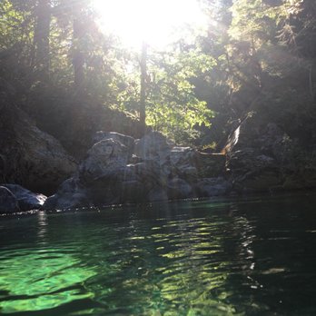 Opal Creek Ancient Forest Center - Hiking Near Me - Lyons, Oregon