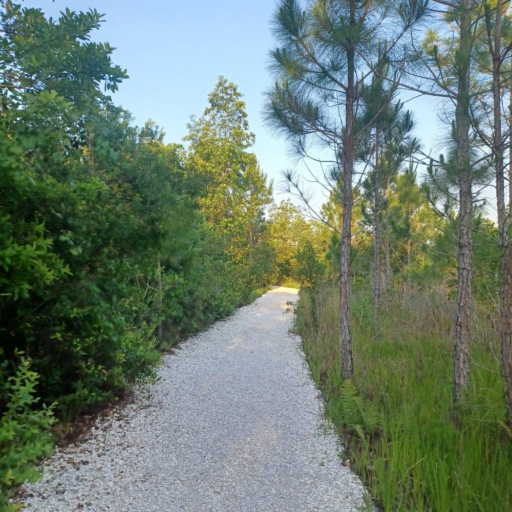 Laureate Park - Playgrounds Near Me - Orlando, Florida Laureate Park - Playgrounds Near Me - Orlando, Florida