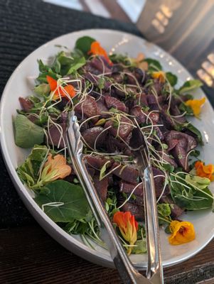 Common Ground Kauai by null