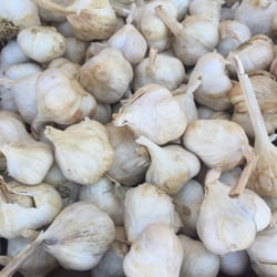 Herndon Farmers Market - Garlic!