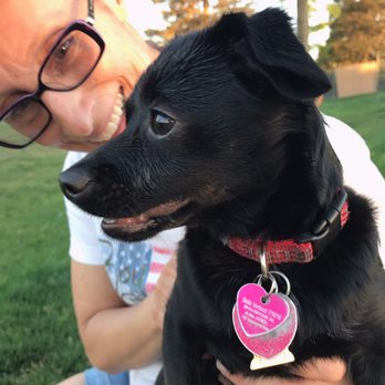 Apricot Veterinary Clinic - Stella one year old!!! - Veterinarians Near Me - Patterson, California Apricot Veterinary Clinic - Stella one year old!!! - Veterinarians Near Me - Patterson, California