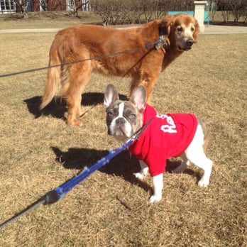 Pet & Home Pro's - Dog Walkers Near Me - Chicago, Illinois