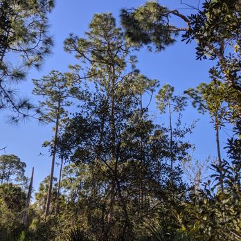 Charlotte Harbor Preserve State Park - Views from path. - Parks Near Me - Punta Gorda, Florida Charlotte Harbor Preserve State Park - Views from path. - Parks Near Me - Punta Gorda, Florida