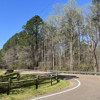 Chickasaw State Park - Parks Near Me - Henderson, Tennessee