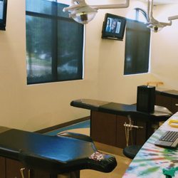 Little People's Dentistry - This is the dentistry room. I love the innovation. It's open, warm, loving. Kids encouraging kids  complete check up without fear.