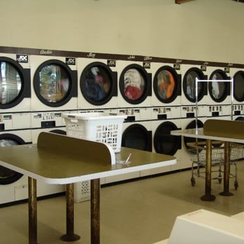 Teddy Bear Wash & Dry - Laundry Services Near Me - Rohnert Park, California Teddy Bear Wash & Dry - Laundry Services Near Me - Rohnert Park, California