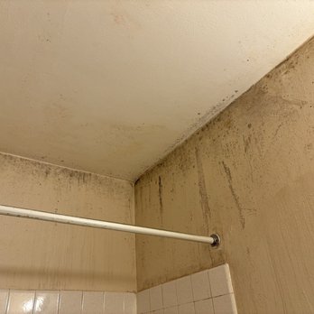 R E M Commercial - Mold - Property Management Near Me - Canton, Ohio
