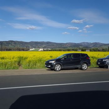 Napa Valley Welcome Sign - March 2021.  Wildflowers bloom in the Napa Valley Wine Region sometimes. - Landmarks & Historical Buildings Near Me - Napa, California