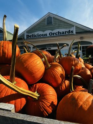 Delicious Orchards by null