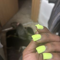Nail Trust