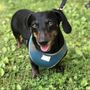 Photo of Paws Of Hope Veterinary Clinic